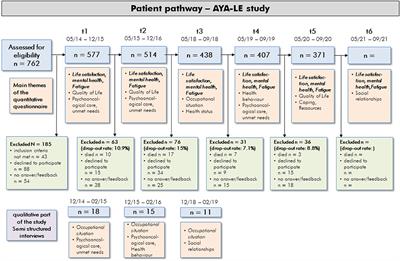 Psychosocial Long-Term Effects of Young Adult Cancer Survivors: Study Protocol of the Longitudinal AYA-LE Long-Term Effects Study